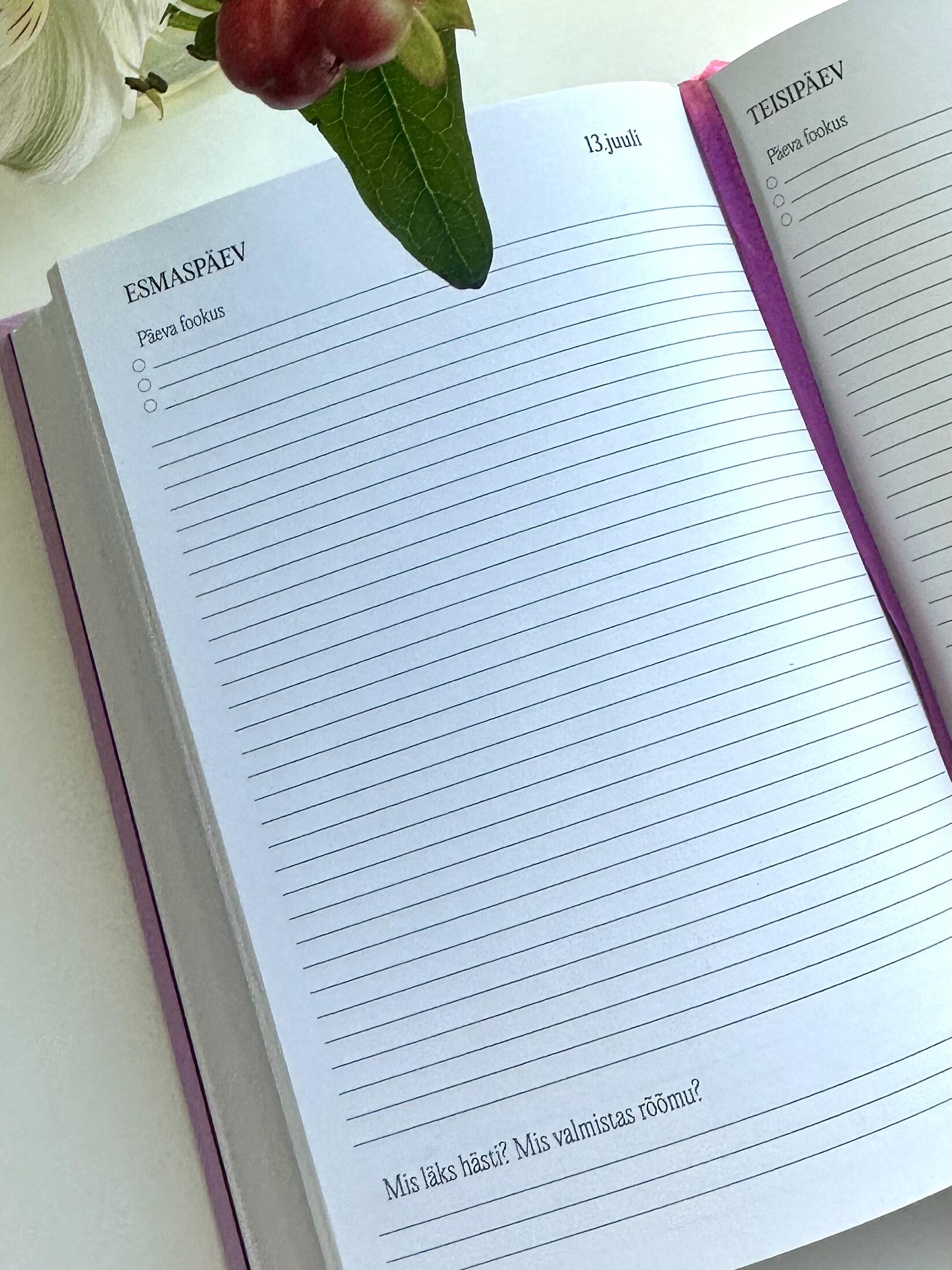 2026 päeva ülevaade